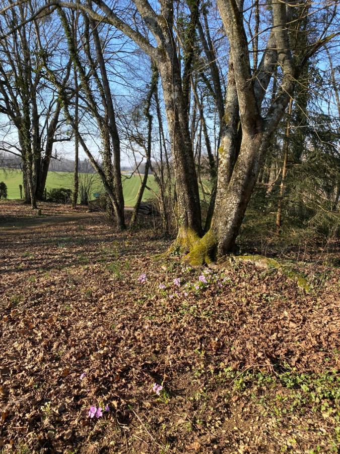 Maison 2 Chambres Proche Dijon Chalet Niche Dans La Nature Saint-Maurice-sur-Vingeanne المظهر الخارجي الصورة