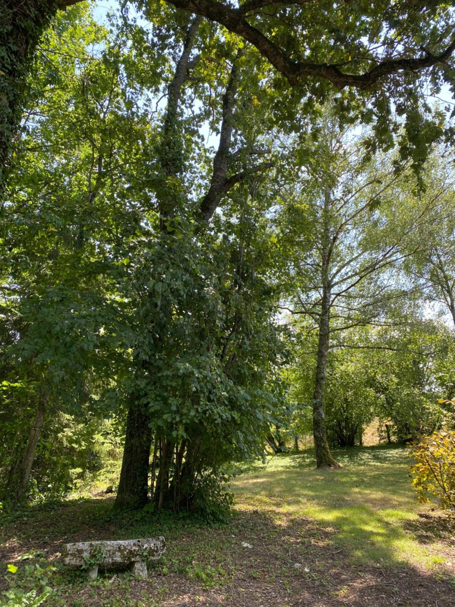 Maison 2 Chambres Proche Dijon Chalet Niche Dans La Nature Saint-Maurice-sur-Vingeanne المظهر الخارجي الصورة